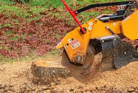 Best Lawn Pest Prevention  in Oliver Springs, TN